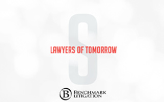 Benchmark Litigation Report on Singularity